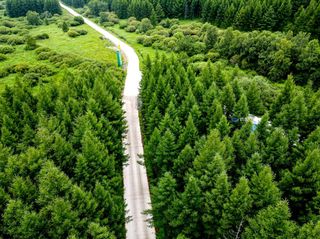 从荒山秃岭到中国最美森林，历时22年，河北千松坝谱写一部绿色传奇