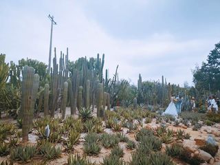 厦门｜去看一看浪漫又文艺的厦门