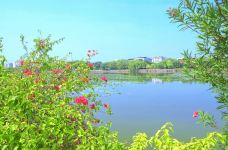 剑英公园-梅州-好鹏友工作室