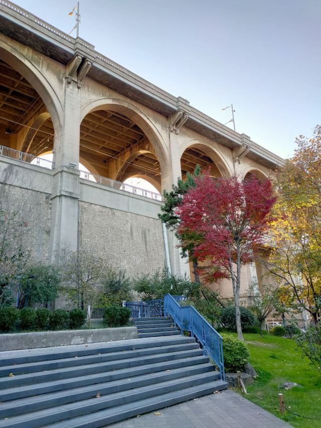 汉阳门花园旅行图片 15