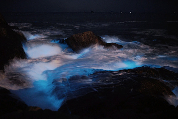 “蓝”海