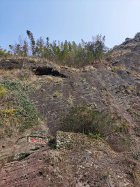 武夷山游记图片] 世界上最贵的茶，曾20克卖出20万，如今是有钱都买不到的无价之宝！武夷山