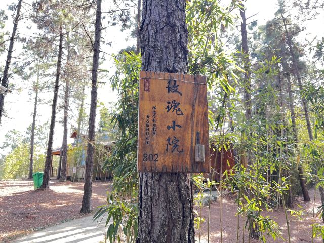 南京玫瑰园旅行图片 9