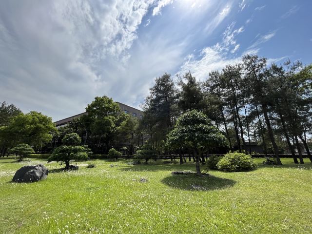 愚自乐园旅行图片 2