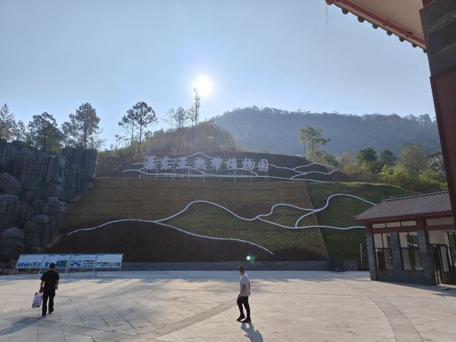 景东亚热带植物园珍稀植物园旅行图片 1