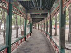 颐和园-长廊-北京-M49****0729