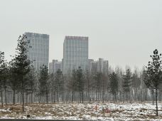 长春东方广场-长春-小仙女的小怪物虫