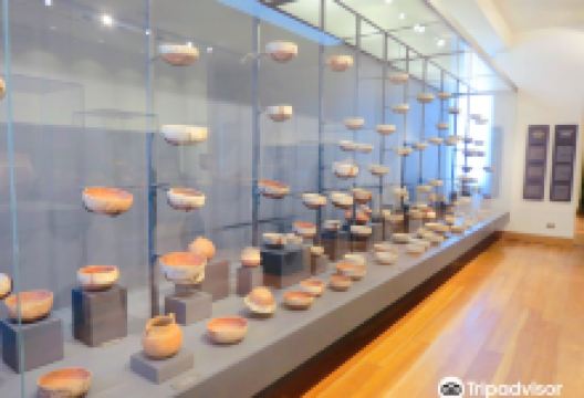 Museo Andino景点图片