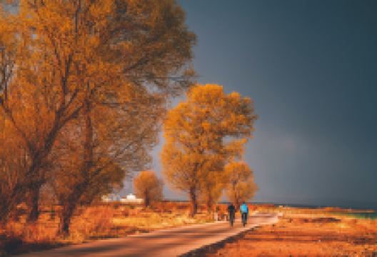 凉城岱海景点图片