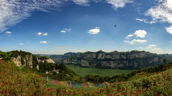 化屋村