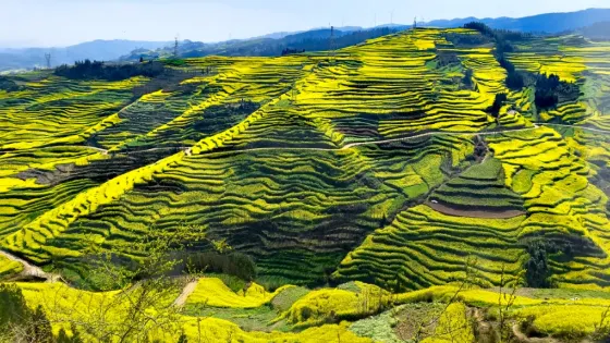 鑽天坡