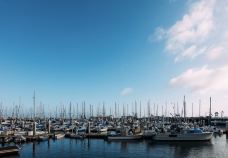 老渔人码头-蒙特雷-zhulei831230