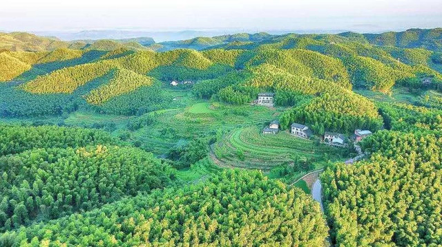 下一站,纳溪。