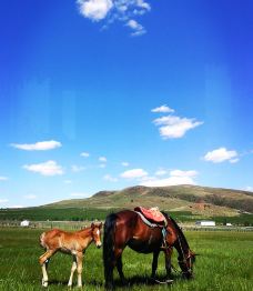 丰宁坝上草原-丰宁-世界美食游走达人