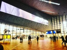 鹿特丹中央车站-鹿特丹-翱翔的大鲨鱼