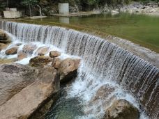 天堂寨-金寨-谢灵芝