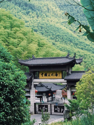天然氧吧-中国大竹海