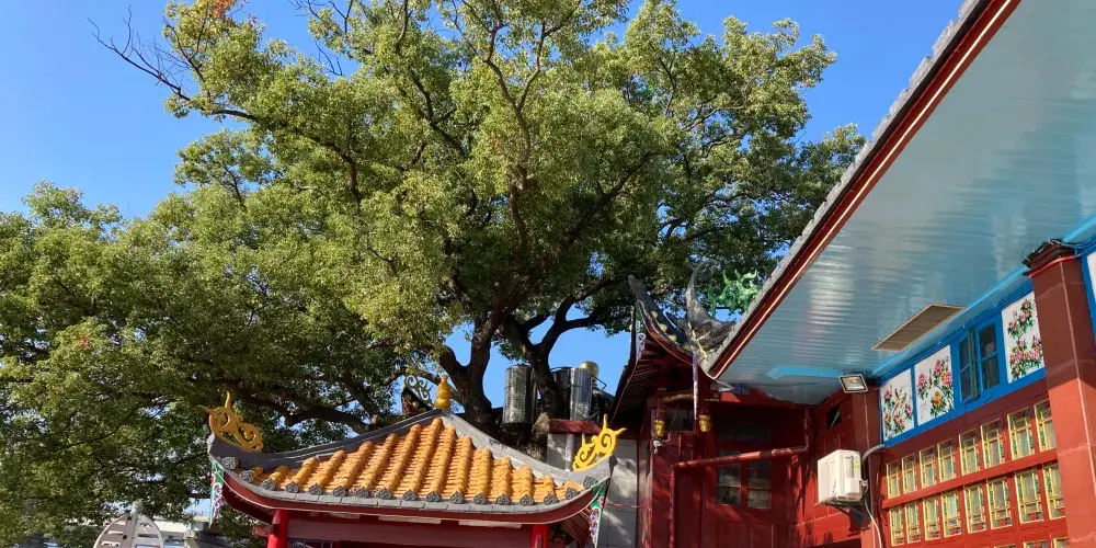 永安旅遊