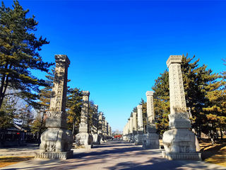 2020五千年文明看山西,晋是如此美