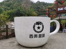 西贡咖啡(德天跨国瀑布景区店)-大新-努力的三号