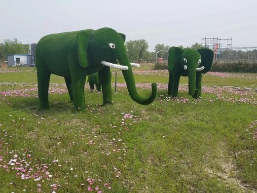 欢乐桃园