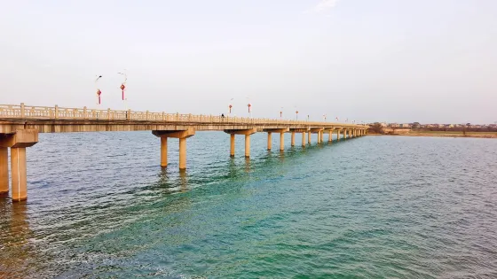 莒洲島
