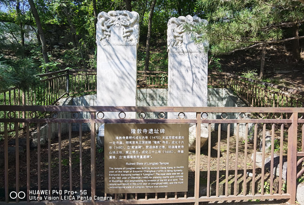 北京植物园水杉林是一个氧吧-10
