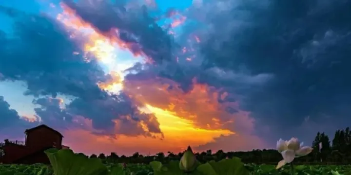 湛河源蓮花濕地