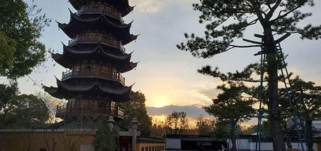 龙华塔旅行图片 4