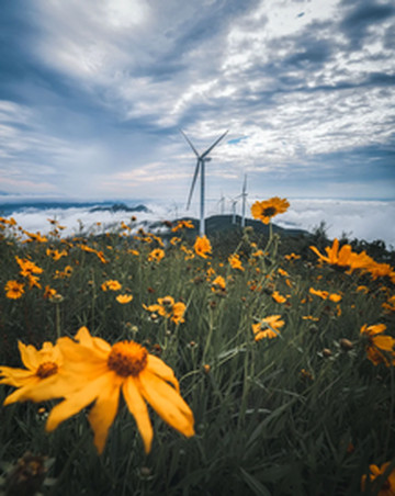 宁波游记图片] 宁波哪里好玩？在这三个绝美景色中，开启与春天的第一场约会