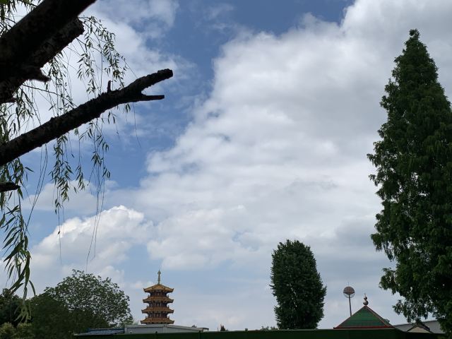 七宝古镇旅行图片 4