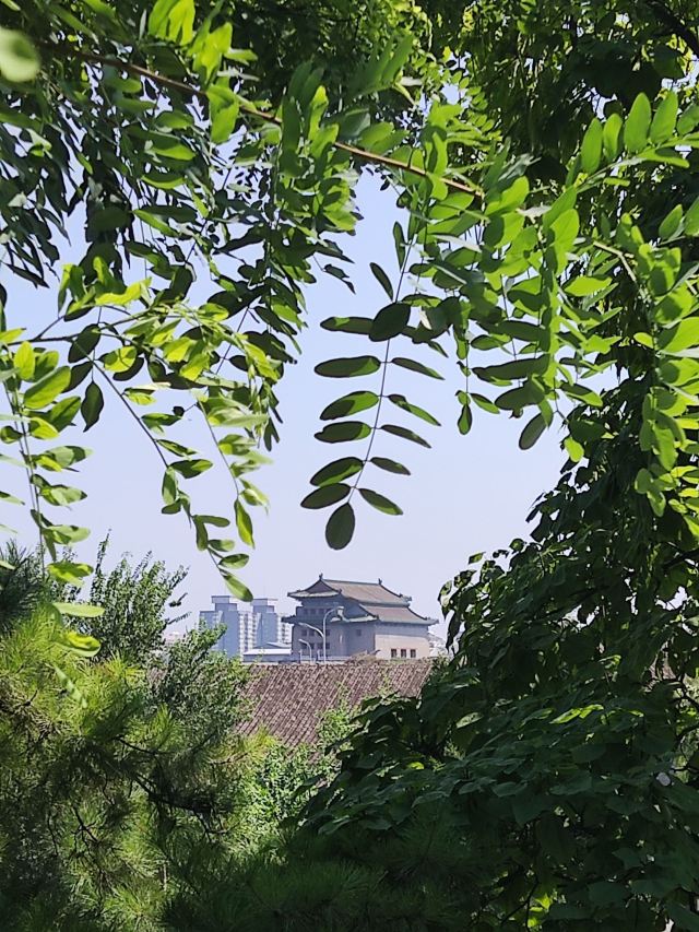 西海旅行图片 9