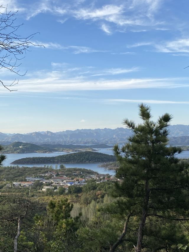 大石山森林公园旅行图片 1