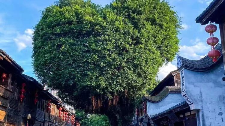 5-Day Fujian + Xiamen + Quanzhou + Fuzhou + Gulangyu Island