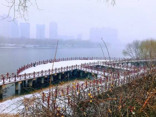 老虎滩公园