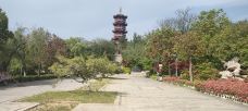 金山公园-徐州-头哥夏