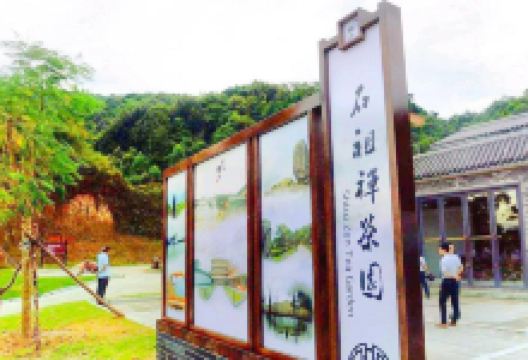 石祖禅茶园景点图片