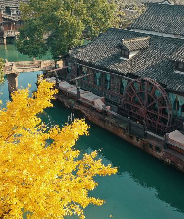 4D3N • Shanghai + Suzhou + Wuzhen: Customizable itinerary & hotel options 