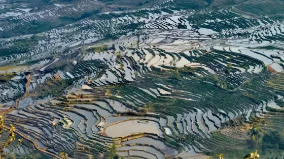 簸火梯田