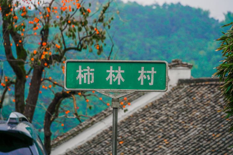 柿林村