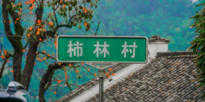 柿林村