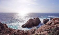 洛博斯角州立保护区-蒙特雷县-小凌60