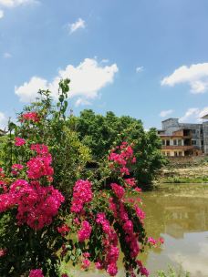 南宁市新秀公园-南宁-博阳的北部湾