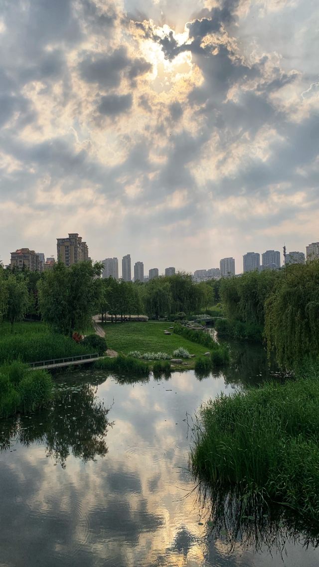 李村河生态全景示范园旅行图片
