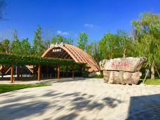 桃花源-桃源-YoYo_4H6V6E8A