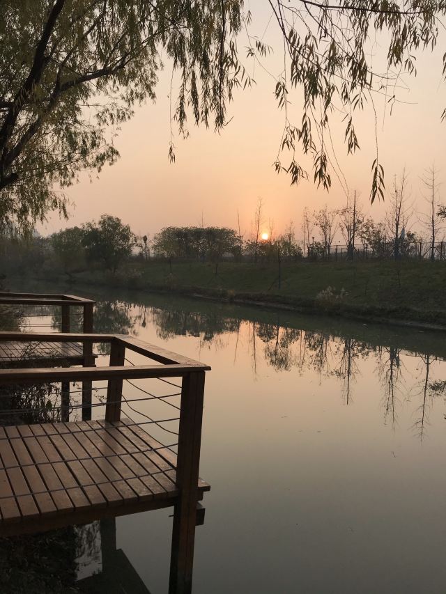 新江湾湿地生态观鸟拍鸟基地旅行图片 1