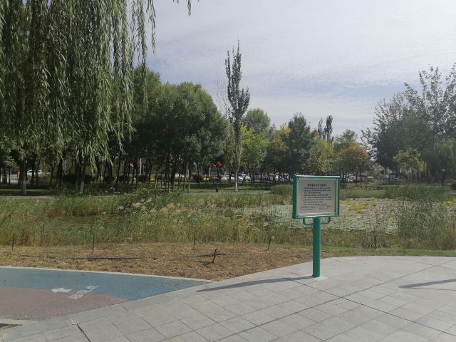 劳动公园旅行图片 3
