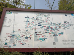 雅安游记图片] 雅安碧峰峡一日游