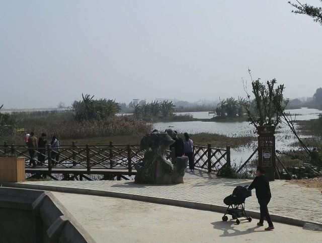 闽江河口国家湿地公园旅行图片 1