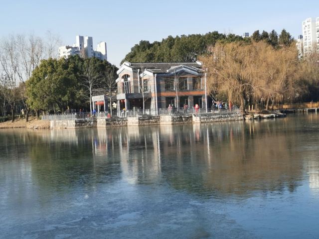 金桥公园旅行图片 3
